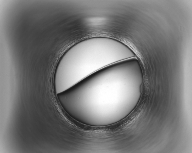 X0000094330433200711021134