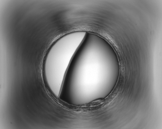 X0000094330434200711021134