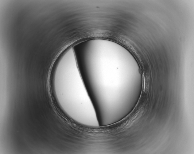 X0000094330435200711021134