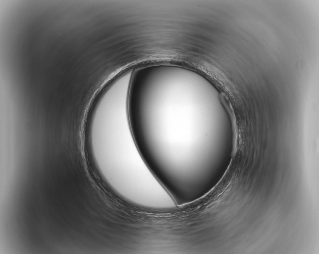 X0000094330436200711021134