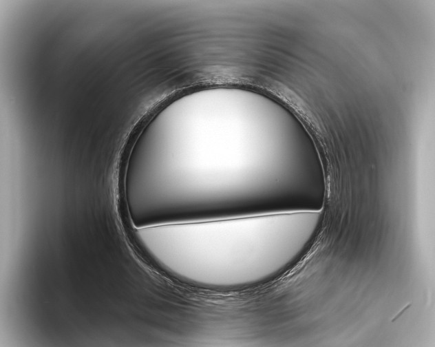 X0000094330438200711021134