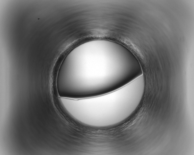X0000094330440200711021134
