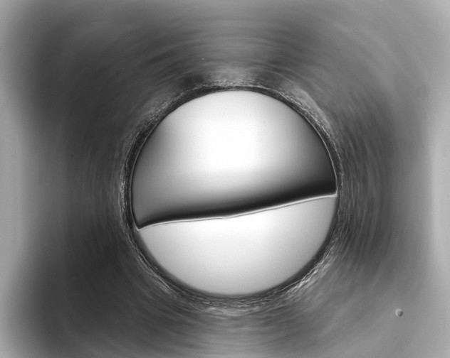 X0000094330441200711021134