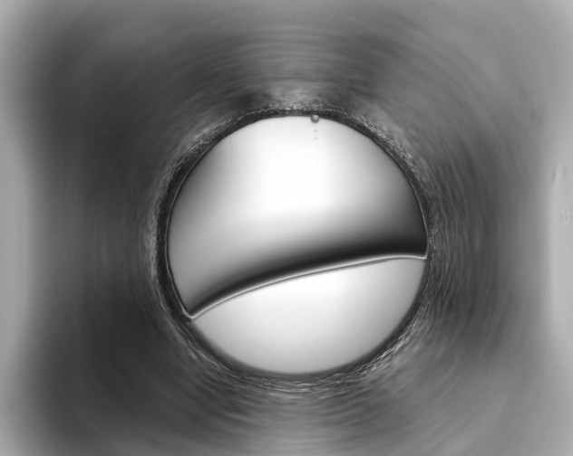 X0000094330442200711021134