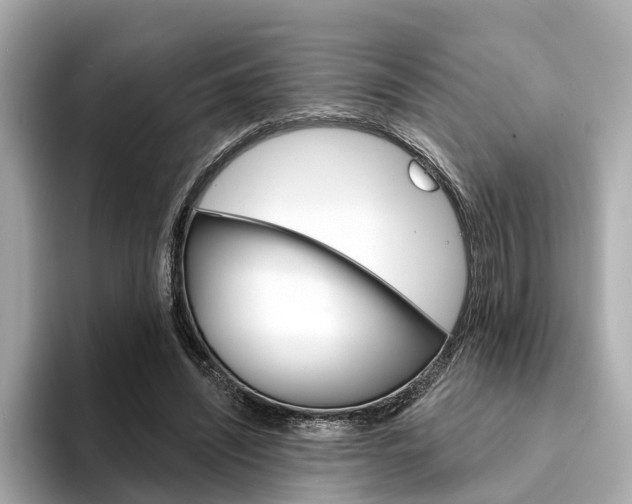 X0000094330444200711021134