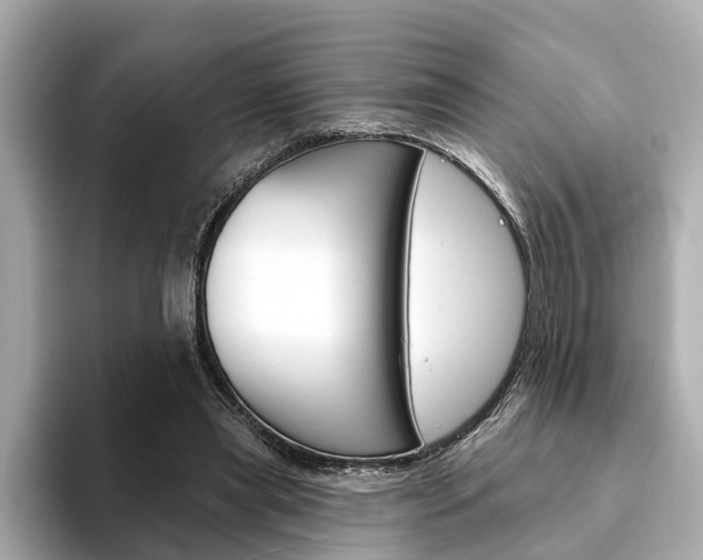 X0000094330445200711021134