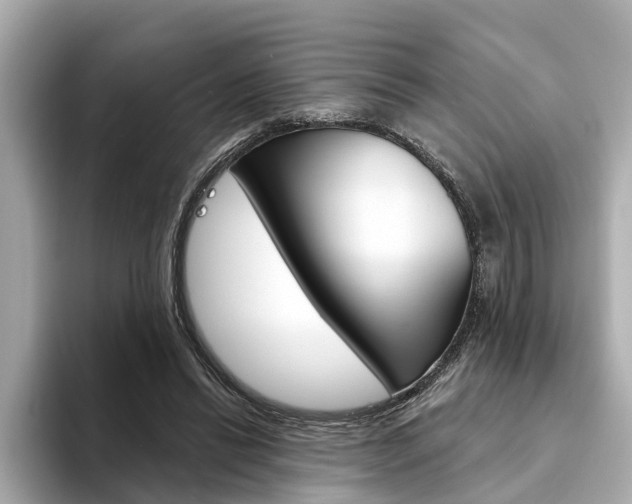 X0000094330446200711021134