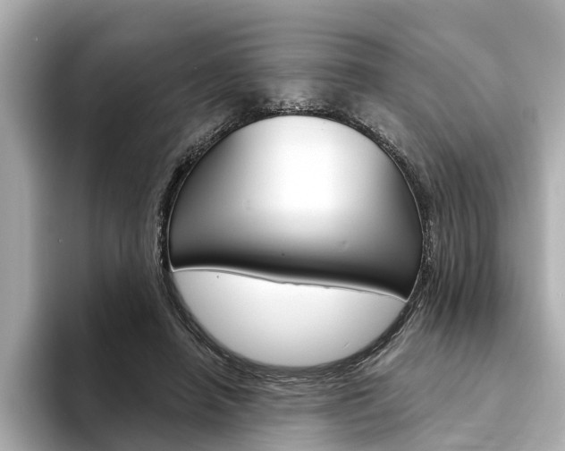 X0000094330450200711021134
