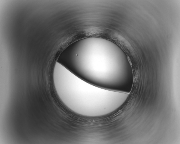 X0000094330452200711021134