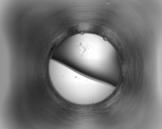 X0000094330454200711021134