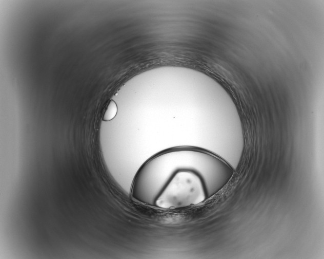 X0000094330456200711021134