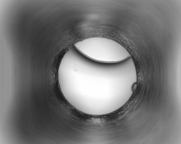 X0000094330464200711021134