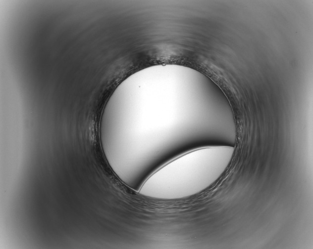 X0000094330470200711021134
