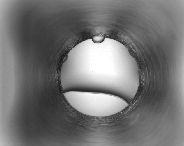 X0000094330473200711021134