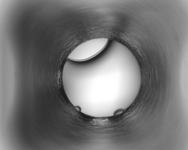X0000094330480200711021134