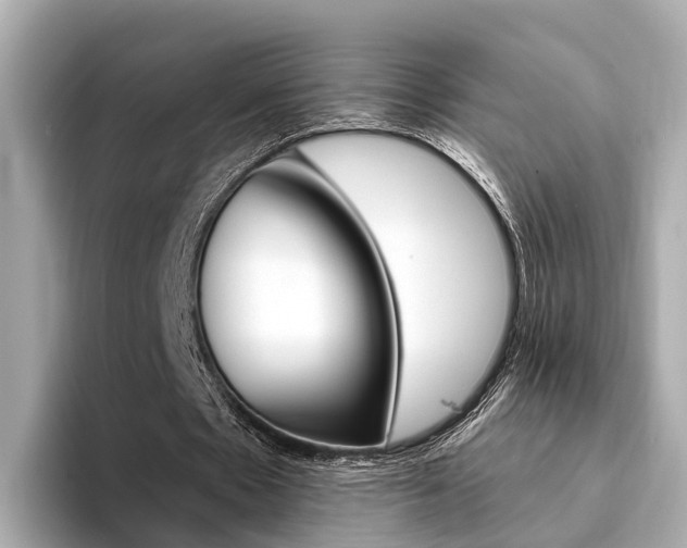 X0000094330481200711021134