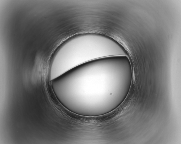 X0000094330483200711021134