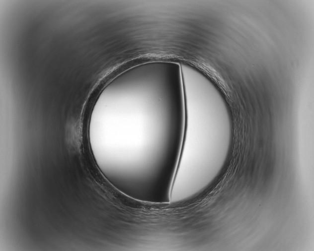 X0000094330484200711021134