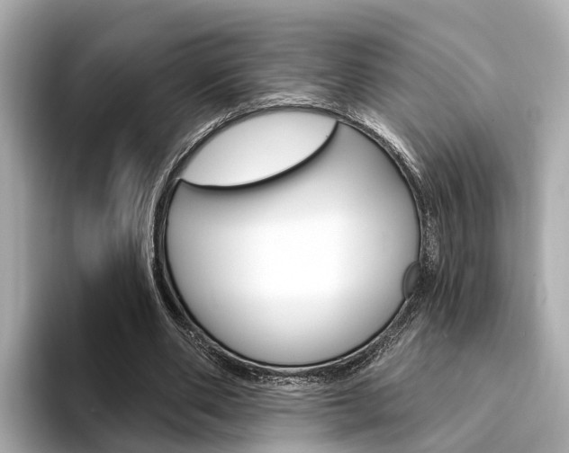 X0000094330486200711021134