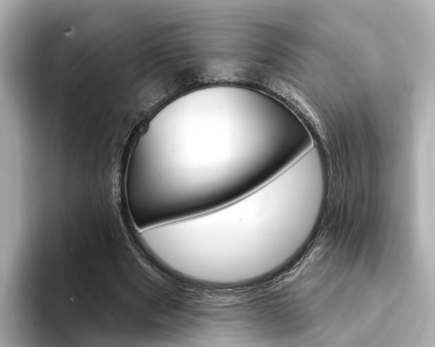 X0000094330489200711021134