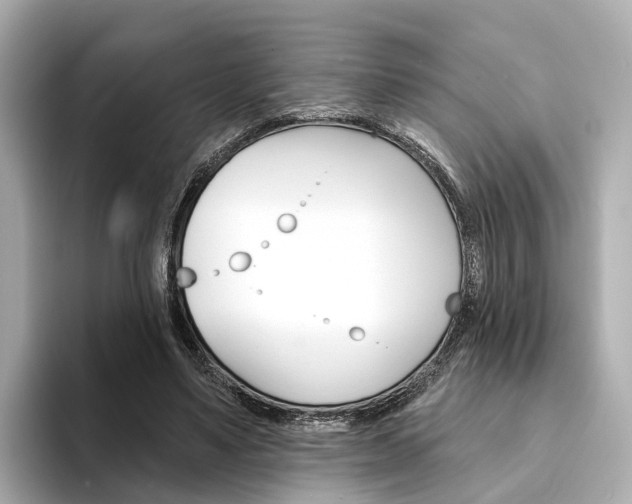 X0000094330491200711021134