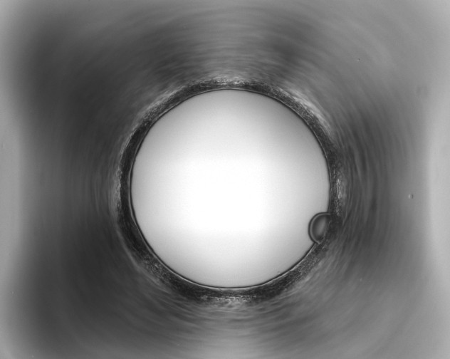 X0000094330492200711021134