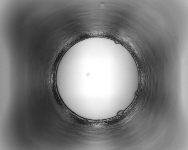 X0000094330495200711021134