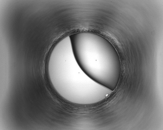 X0000094330496200711021133