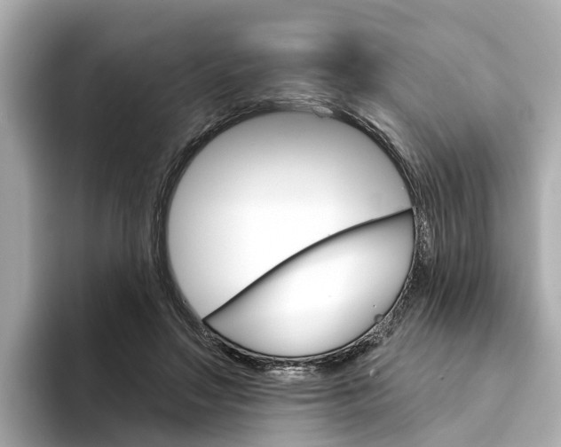 X0000094330499200711021133