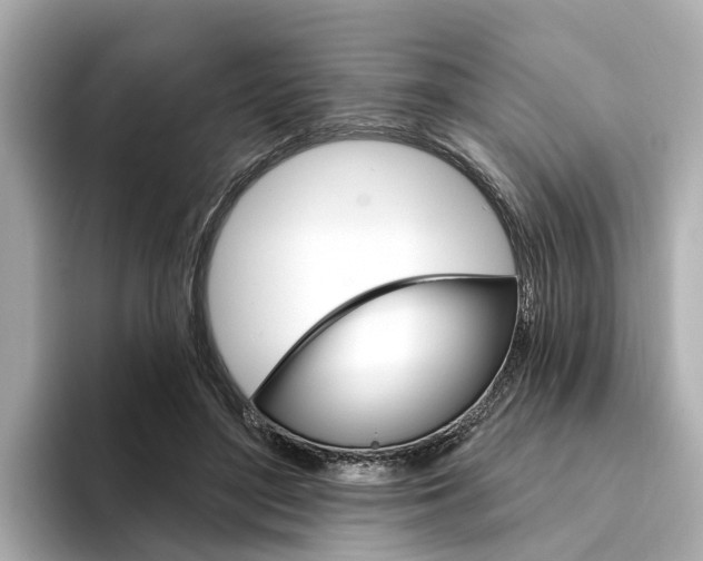 X0000094330500200711021133