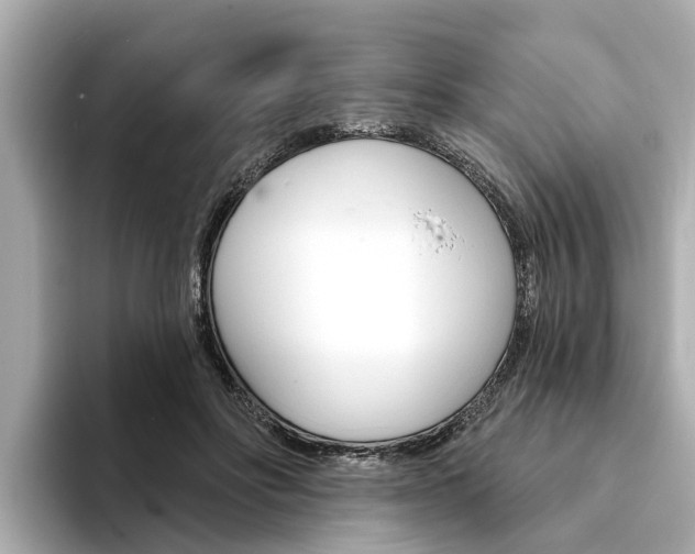 X0000094330502200711021133