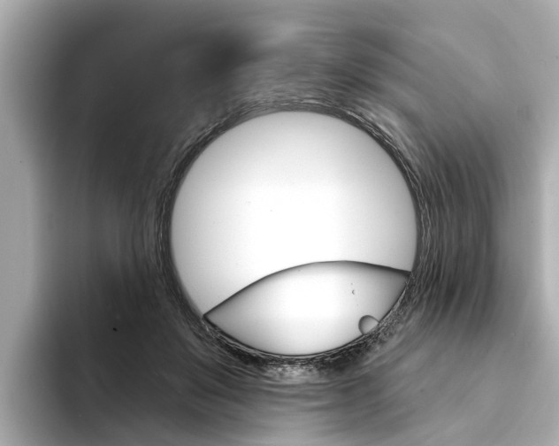 X0000094330503200711021133