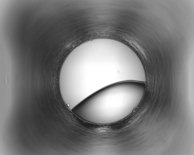 X0000094330505200711021133