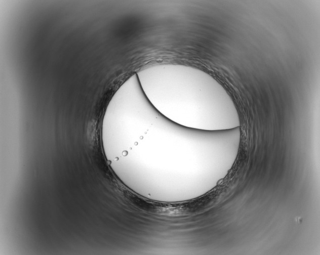 X0000094330511200711021133