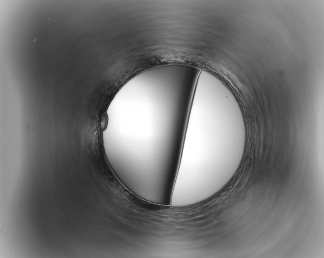 X0000094330513200711021133