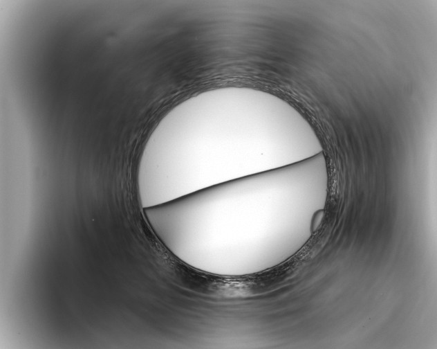 X0000094330518200711021133