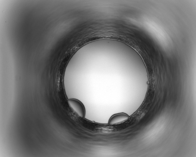 X0000094330525200711021133