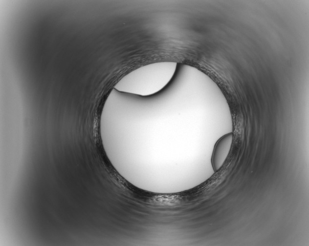 X0000094330526200711021133