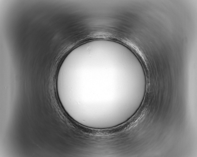 X0000094330529200711021133