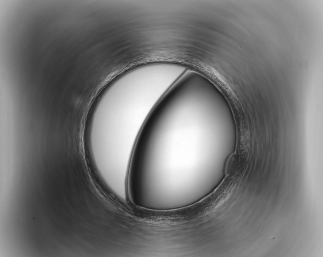 X0000094330530200711021133
