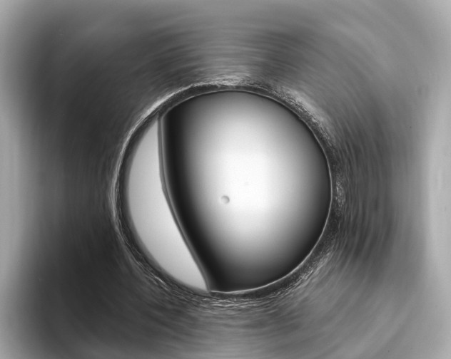 X0000094330532200711021133