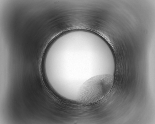 X0000094330535200711021133