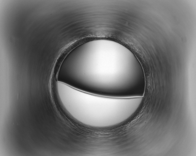 X0000094330536200711021133