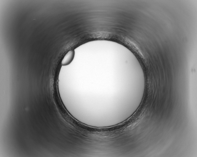 X0000094330538200711021133