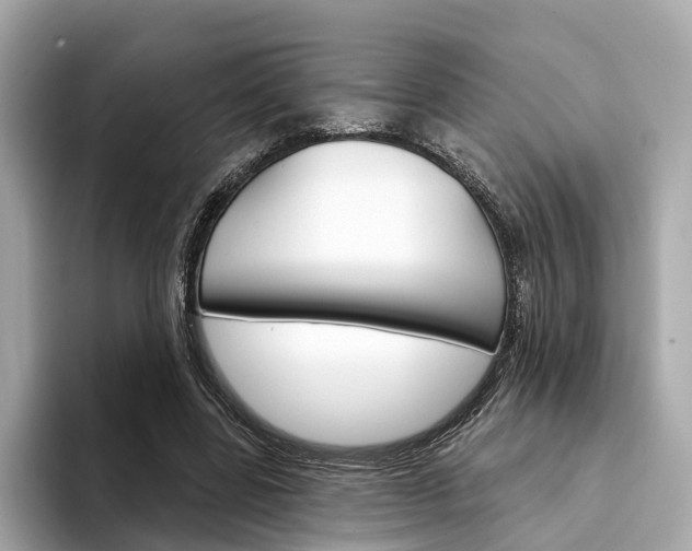 X0000094330539200711021133