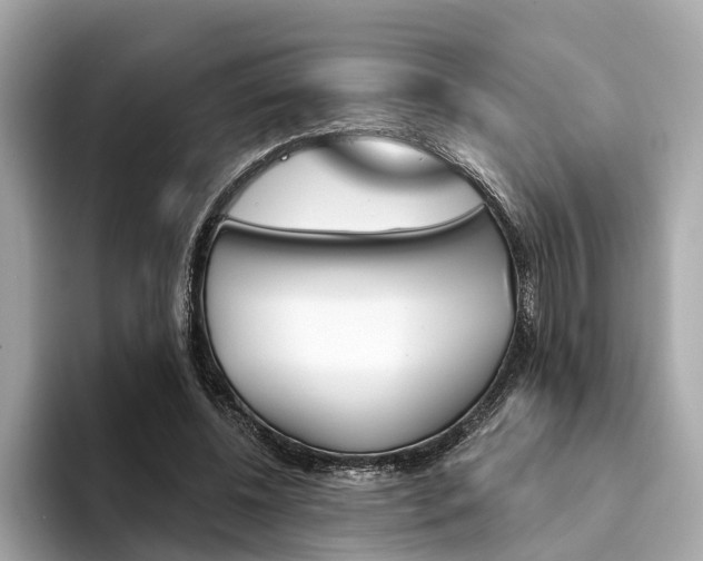 X0000094330540200711021133