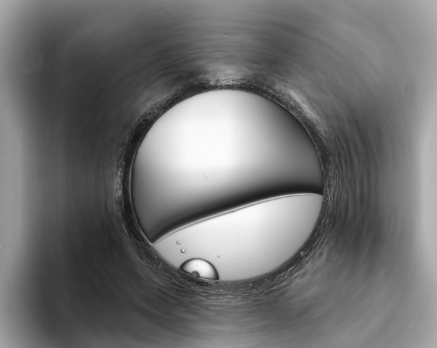 X0000094330543200711021133