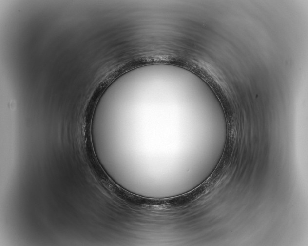X0000094330548200711021133