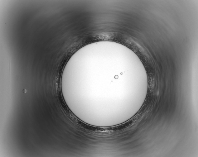 X0000094330553200711021133