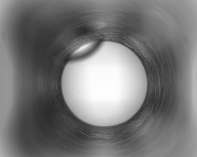 X0000094330555200711021133